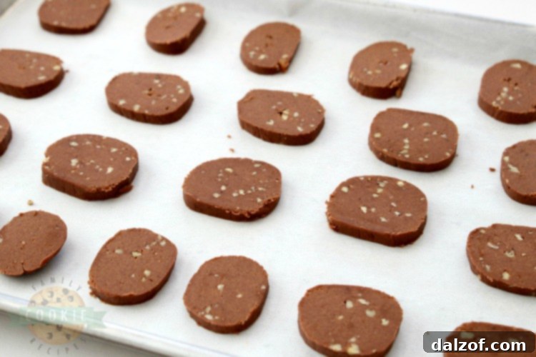Freshly baked Chocolate Pecan Shortbread Cookies cooling on a wire rack, ready for their chocolate drizzle. These buttery, chocolate-infused cookies are a holiday favorite.