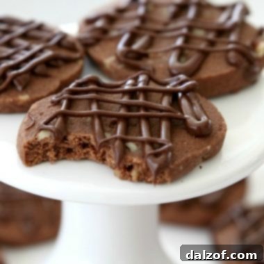 Chocolate Pecan Shortbread Cookies, a buttery chocolate shortbread base with chopped pecans, drizzled with melted chocolate, offering an incredible melt-in-your-mouth texture and rich flavor. Perfect for holidays.