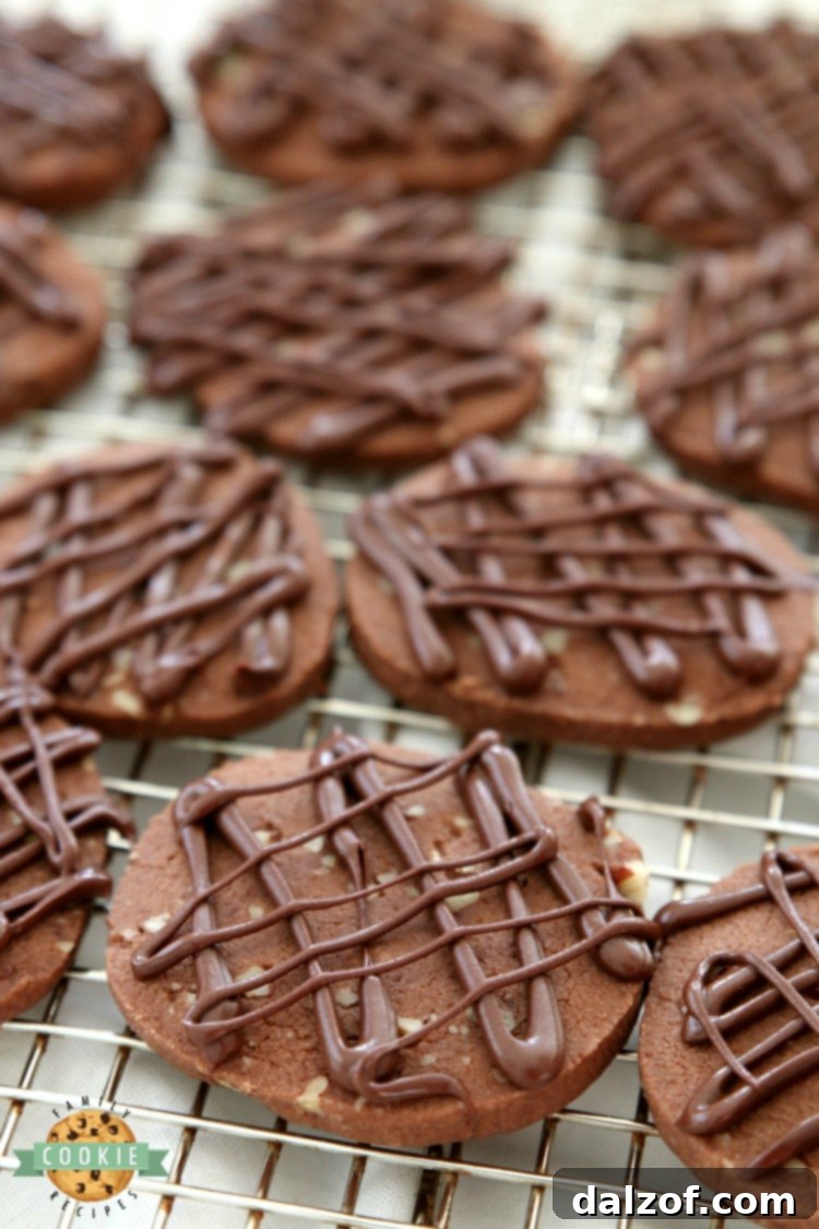Chocolate Pecan Shortbread Cookies, rich and buttery, studded with pecans and drizzled with melted chocolate, ideal for a holiday dessert or special treat.