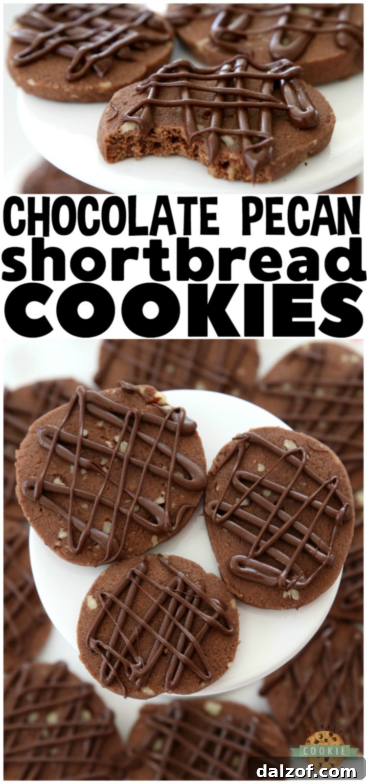 A beautifully composed image of Chocolate Pecan Shortbread Cookies, highlighting their rich flavor and festive appeal. Perfect for holiday baking, Christmas cookie trays, or a delightful treat. #COOKIES #shortbread #butter #baking #chocolate #pecan #Christmas #cookie #recipe from FAMILY COOKIE RECIPES