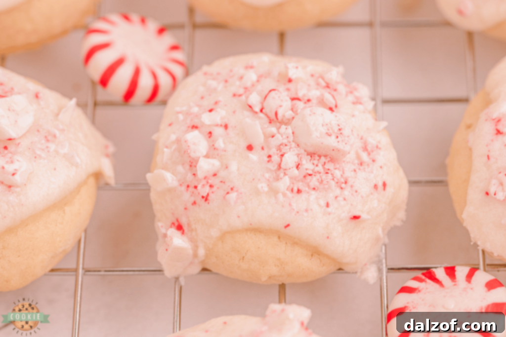Delicate Peppermint Vanilla Shortbread Cookies, showcasing their whipped texture and festive glaze.