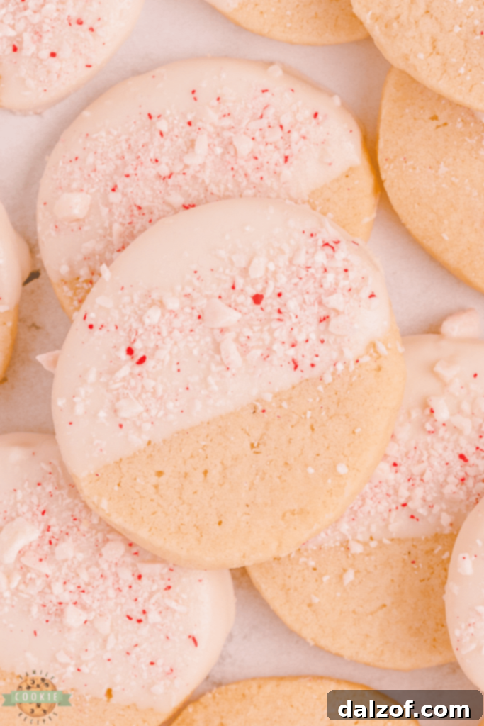 Buttery Peppermint Shortbread Cookies adorned with white chocolate and crushed candy canes.