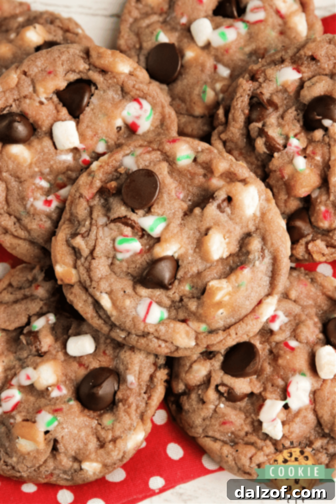 Cozy Hot Cocoa Cookies, featuring chocolate, marshmallows, and candy cane bits.