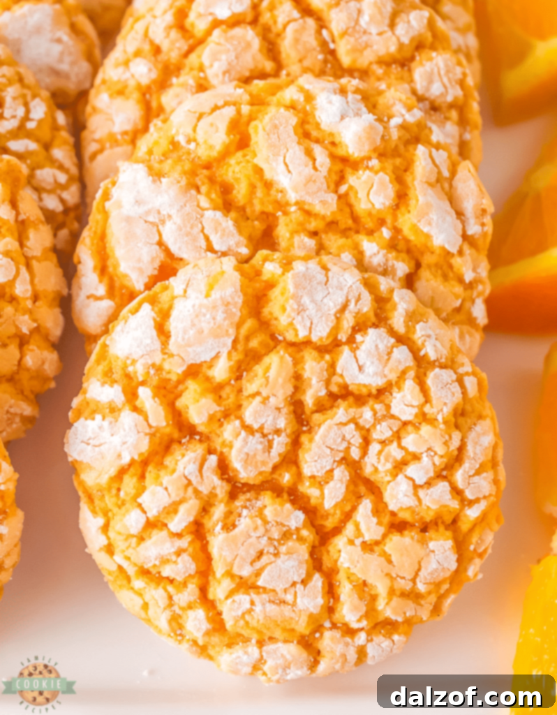 Fragrant Orange Cardamom Cookies, combining citrus and spice in a delightful baked treat.