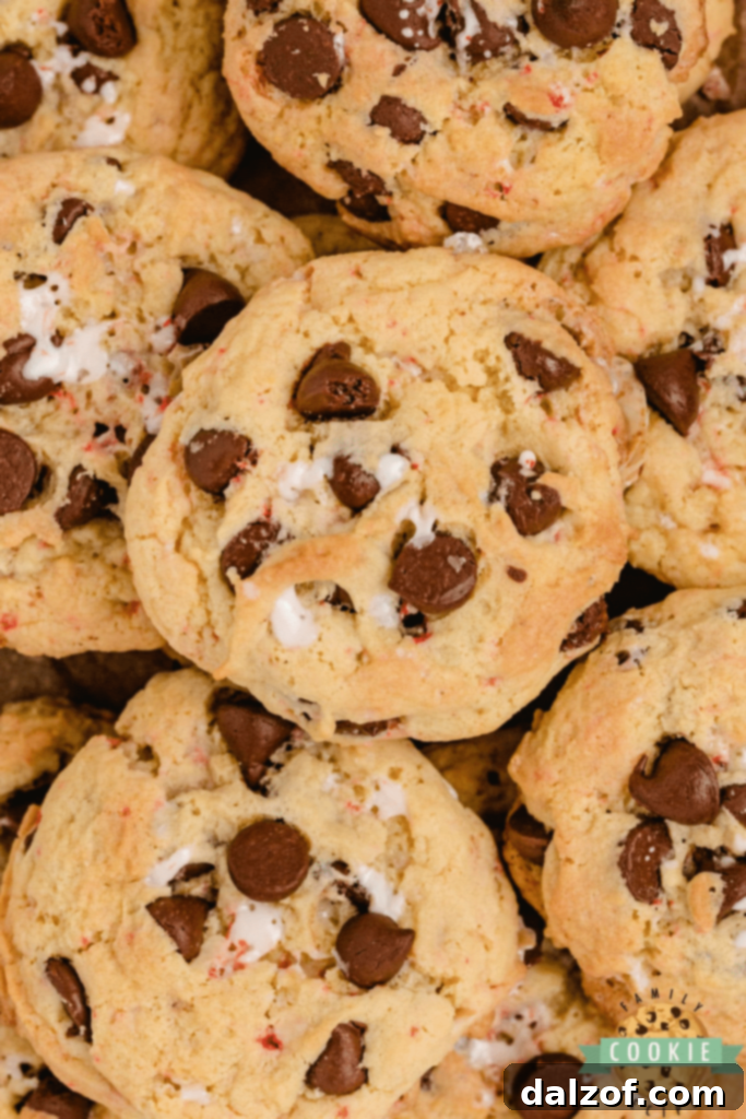Chewy Peppermint Chocolate Chip Cookies, studded with chocolate chips and crushed candy canes.
