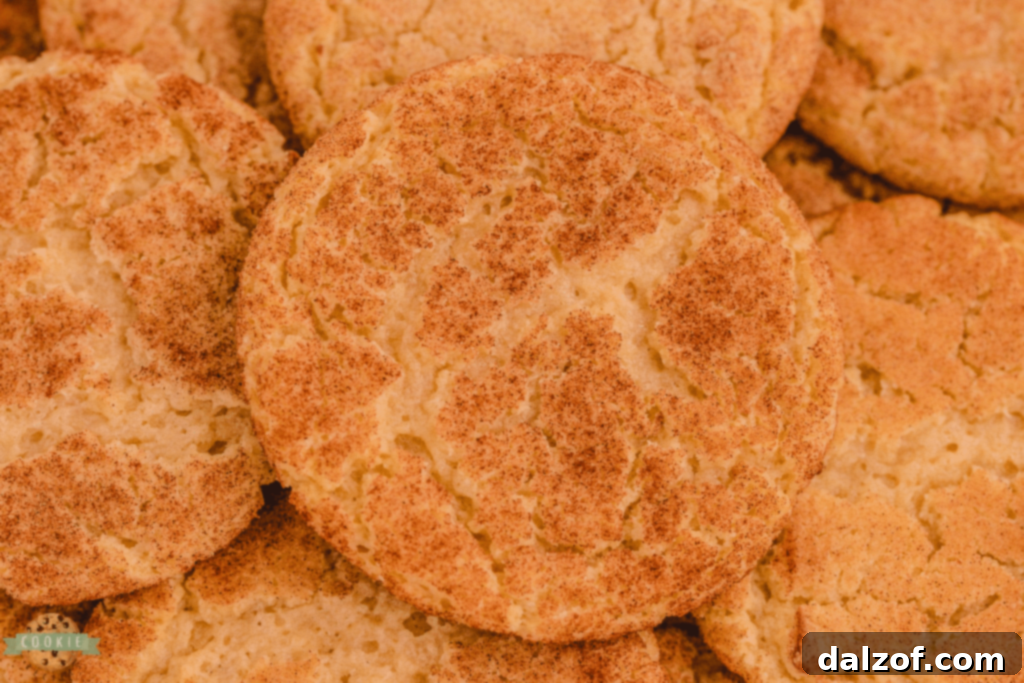 Classic Snickerdoodles, soft and chewy with their signature cinnamon-sugar coating.