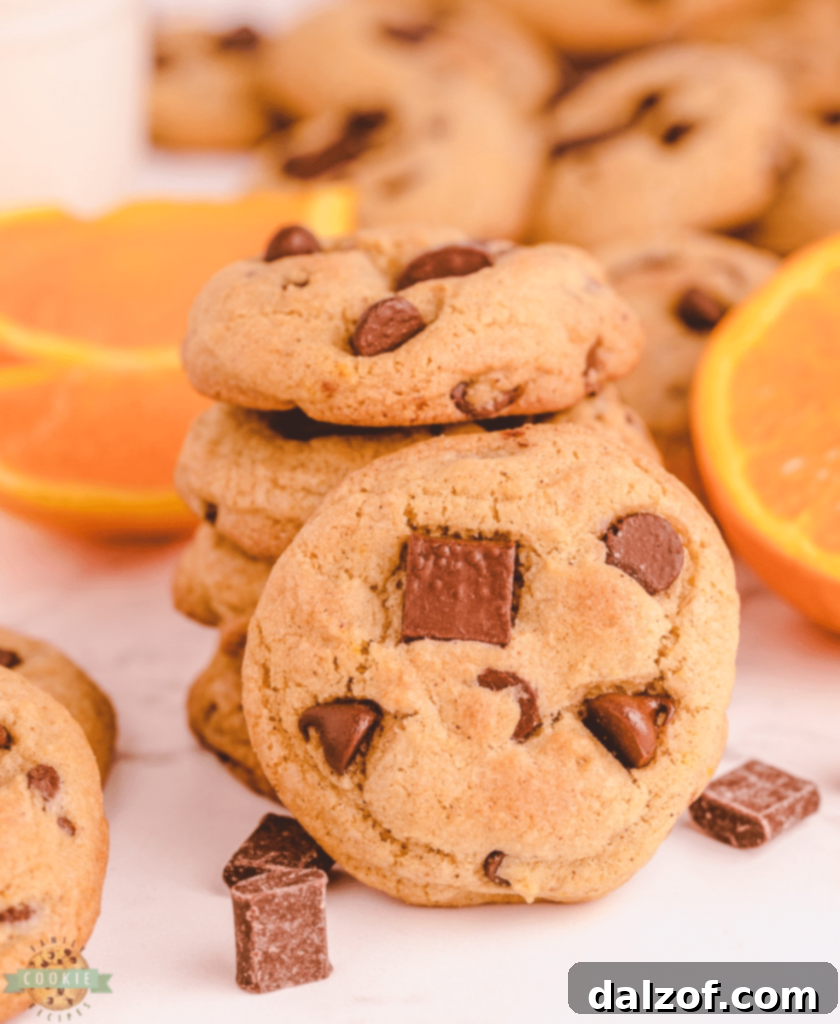 Scrumptious Orange Cinnamon Chocolate Chip Cookies, a festive twist on a classic.