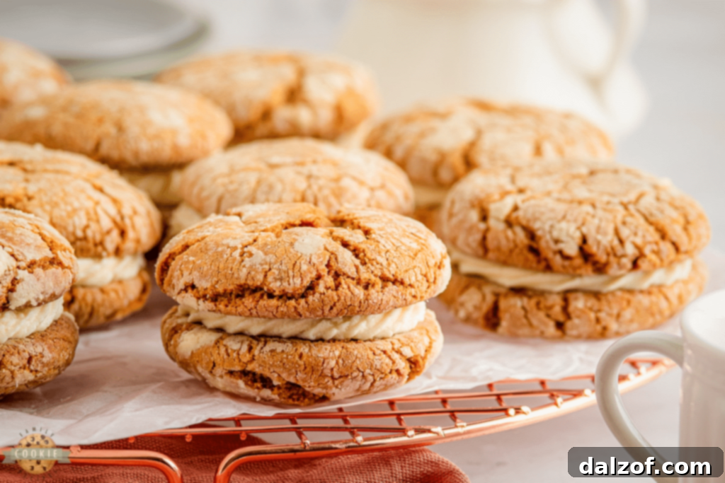 Delicious Gingerbread Sandwich Cookies filled with creamy vanilla cream cheese buttercream.