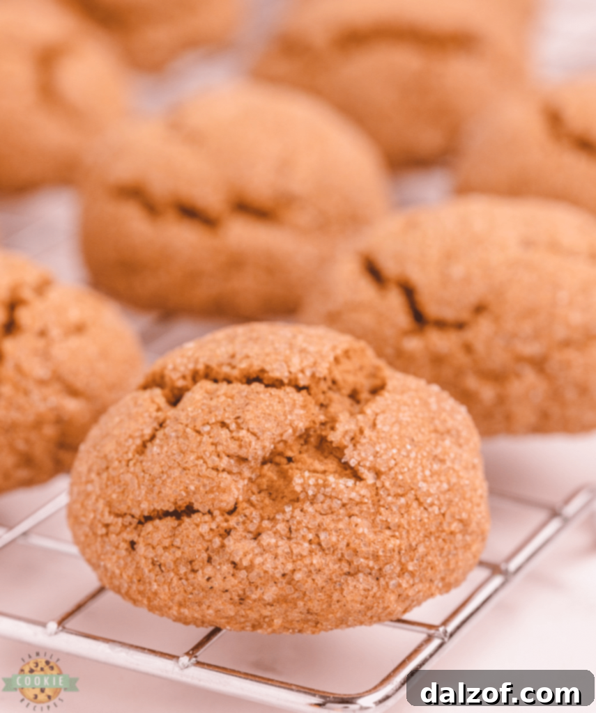 Cozy Pumpkin Gingersnap Cookies, featuring classic spices and a hint of pumpkin.