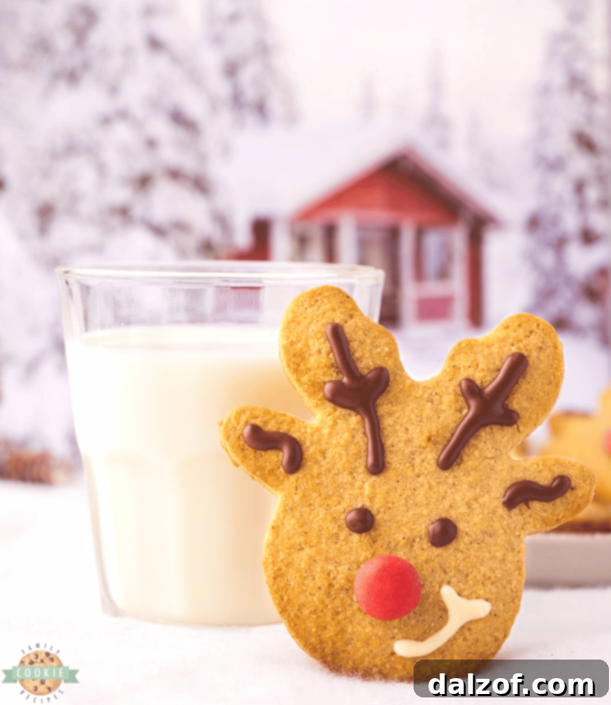 Cute Spiced Reindeer Cookies, decorated with simple and adorable reindeer features.