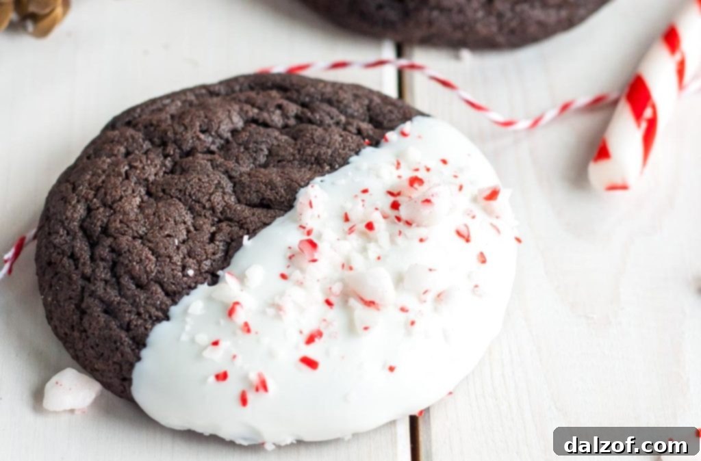 Dark Chocolate Candy Cane Cookies, combining rich chocolate with festive peppermint.