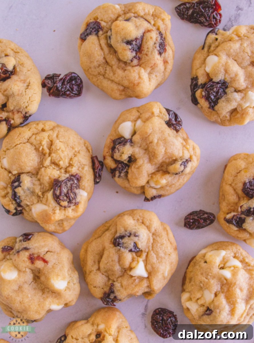 Close-up of freshly baked white chocolate chip cookies with vibrant dried cherries visible throughout.