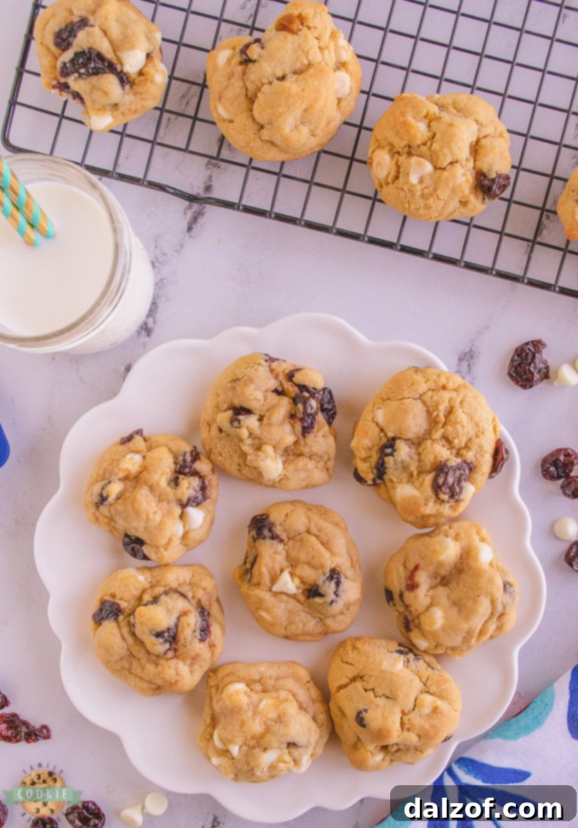 A charming plate of freshly baked cherry cookies, showing their perfect round shape and delicious texture.