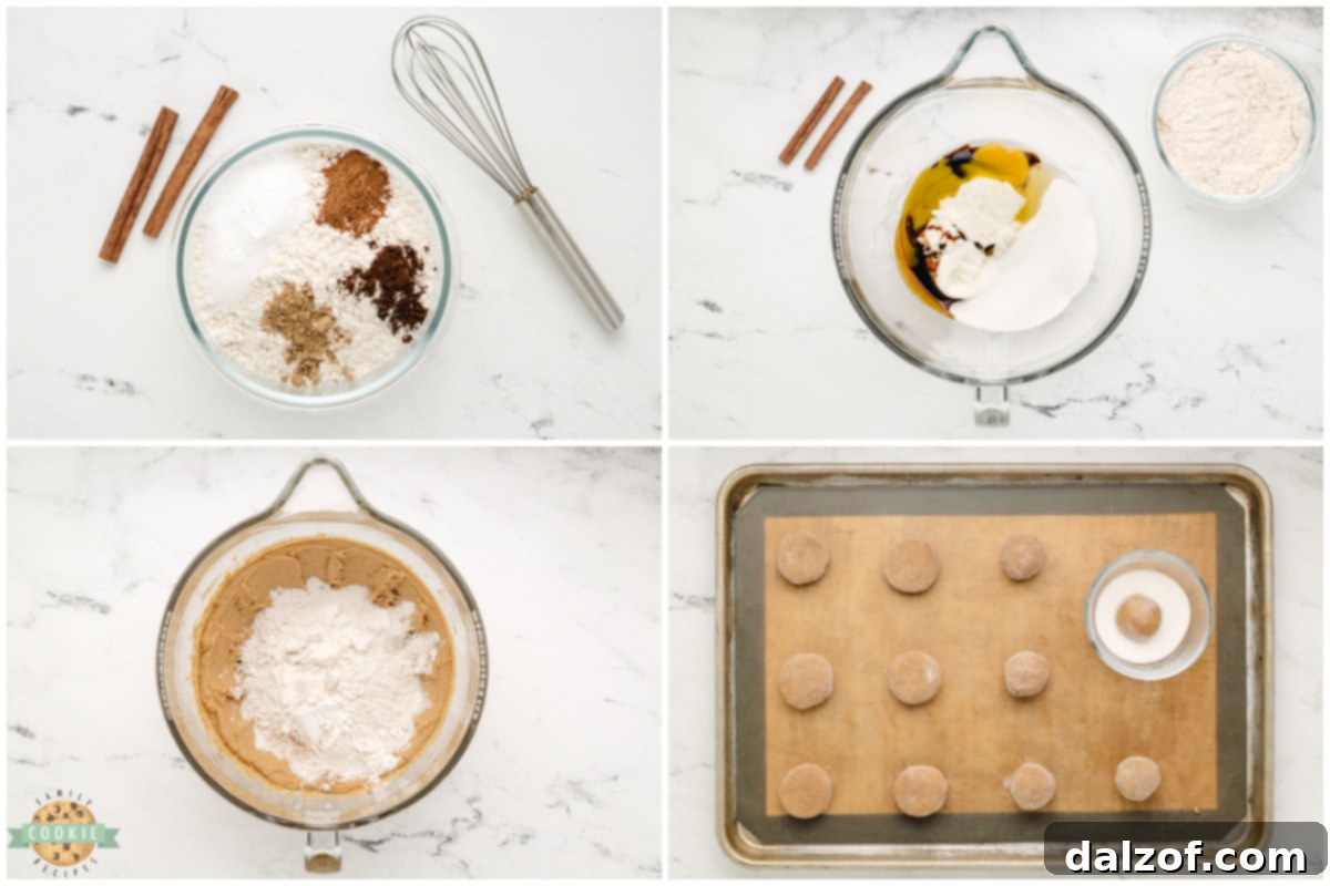 Step by step ingredients on how to make Soft Gingerbread Cookie recipe.