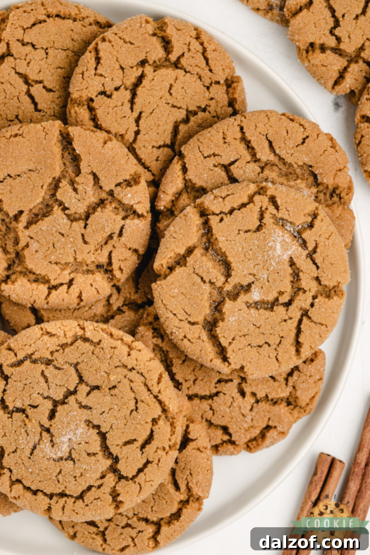 Close-up of soft gingerbread cookies stacked on a plate, showing chewy centers and sugar-dusted tops.