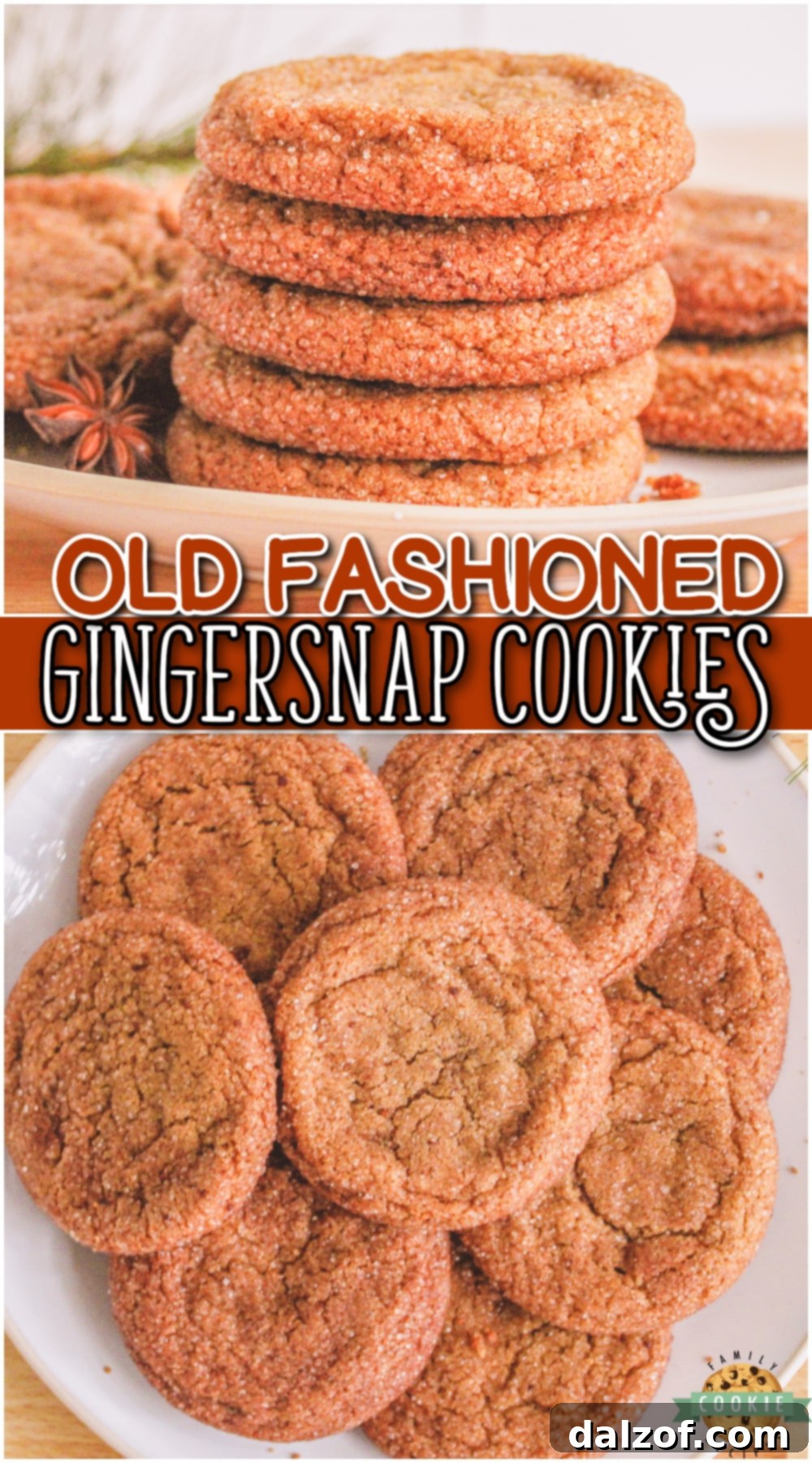 Gingersnap Cookies are a crisp, spicy & iconic holiday favorite! Make some gingersnap cookies at home and enjoy this classic recipe.