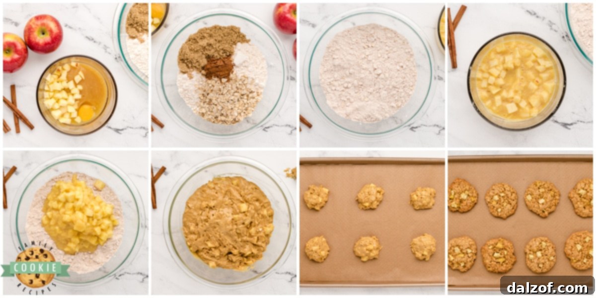 Step by step instructions on how to make Apple Cinnamon Oatmeal Cookies