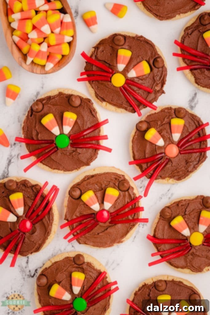 cute cat cookies