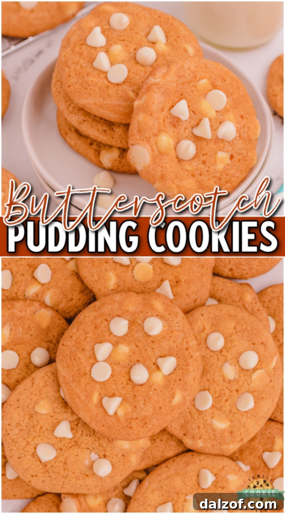Butterscotch Pudding Cookies are a delightful cookie with great butterscotch flavor! This butterscotch cookie recipe is so simple to make & the pudding gives them the best texture & taste.