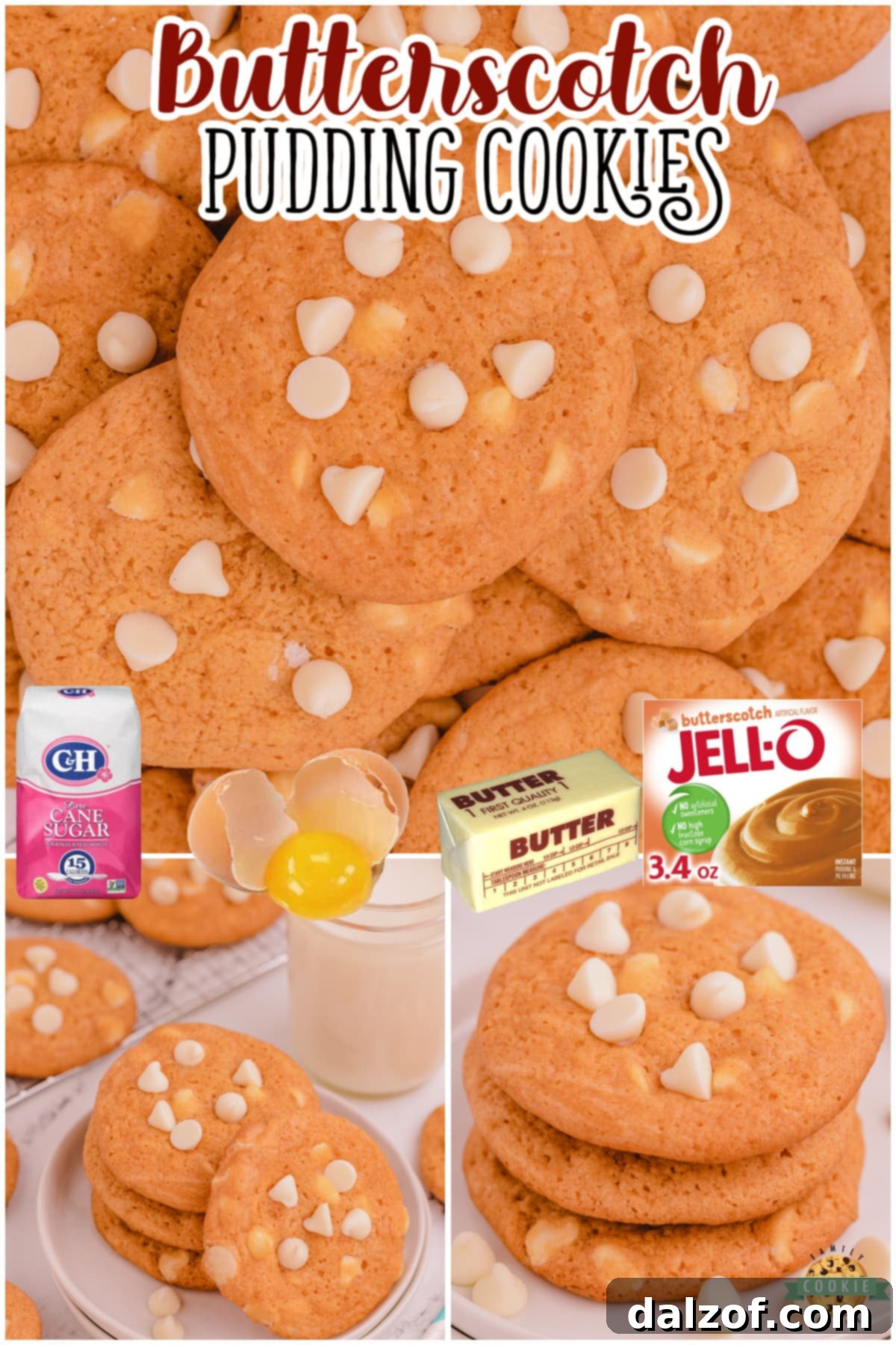 Butterscotch Pudding Cookies are a delightful cookie with great butterscotch flavor! This butterscotch cookie recipe is so simple to make & the pudding gives them the best texture & taste.