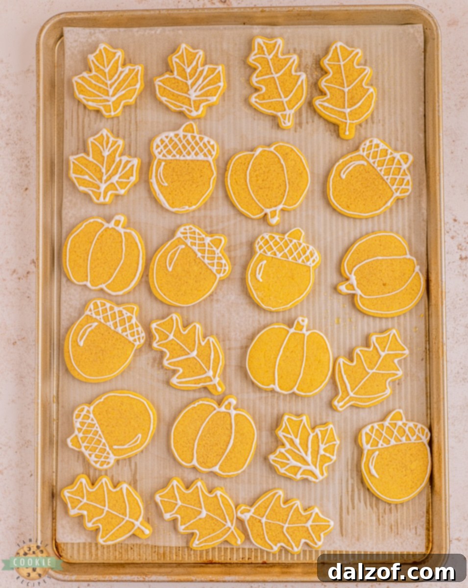 Pumpkin cut out cookies on a baking tray