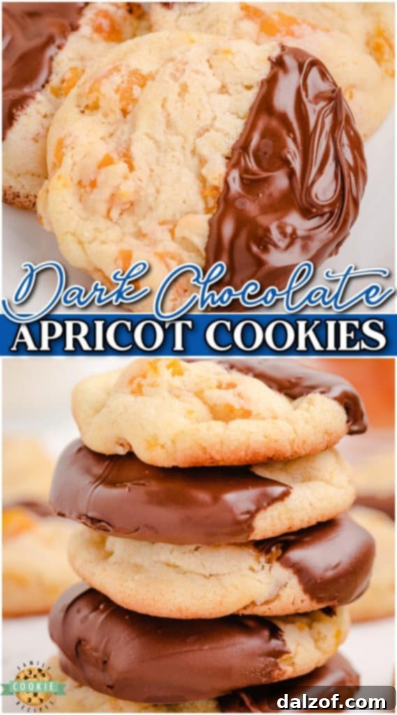 Easy Apricot Cookies perfectly combine a sweet cookie base with tangy fruit flavor. These apricot sugar cookies are dipped in dark chocolate & are simply delightful!