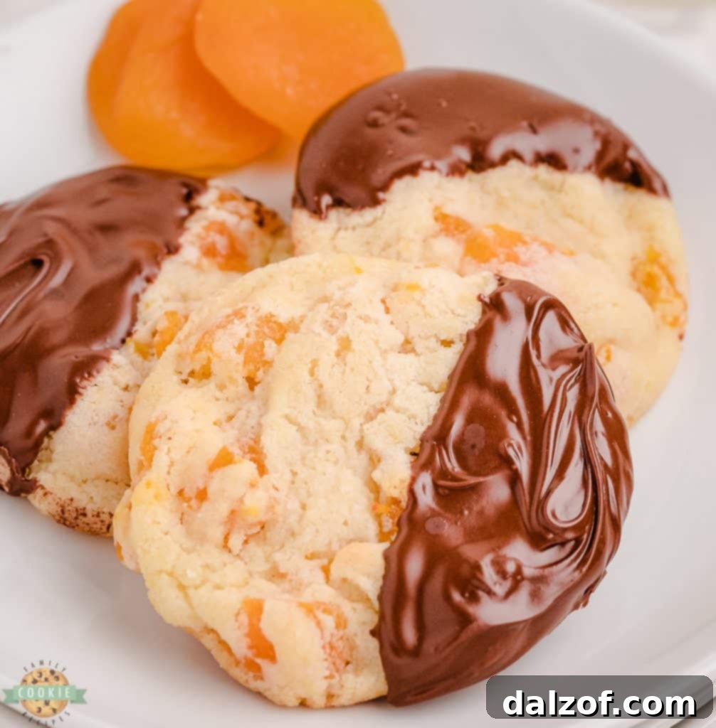 easy apricot cookies with chocolate