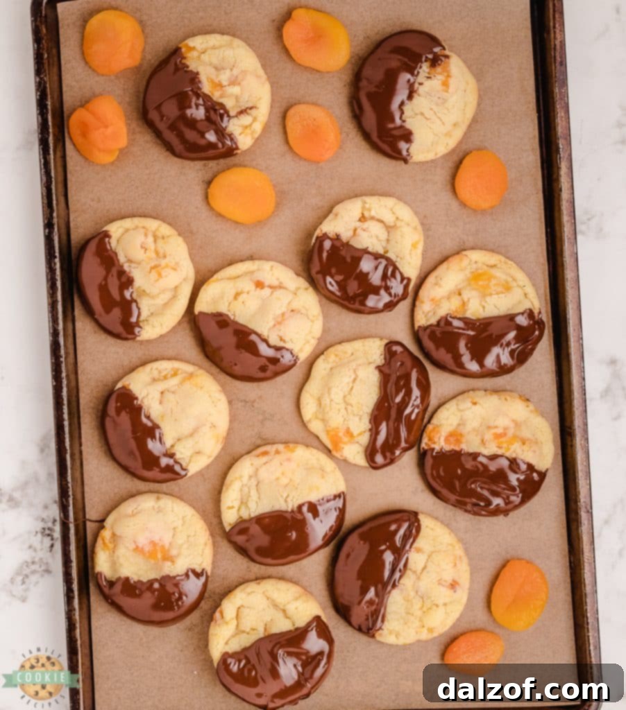 tray of apricot cookies dipped in chocolate