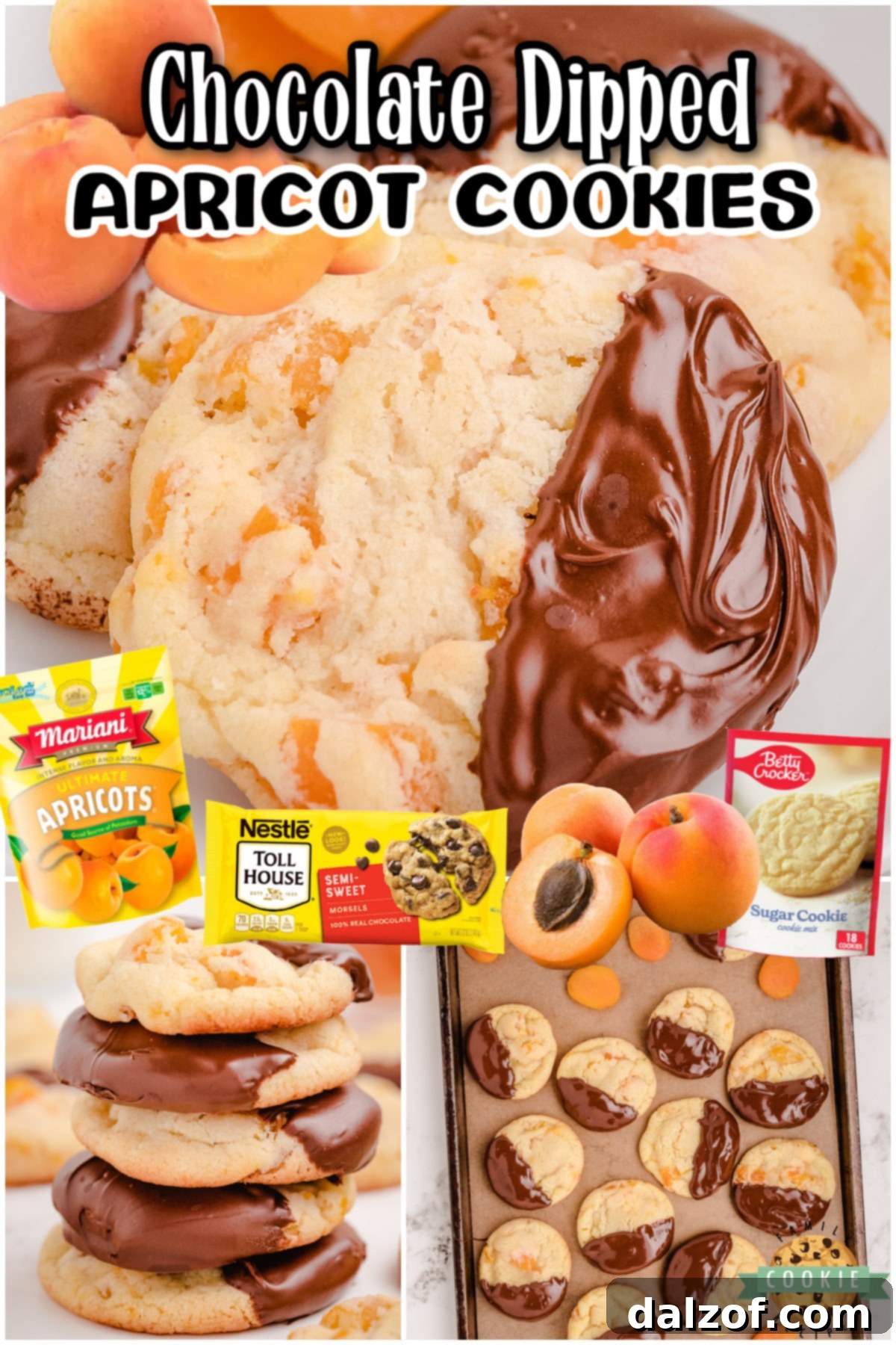 Easy Apricot Cookies perfectly combine a sweet cookie base with tangy fruit flavor. These apricot sugar cookies are dipped in dark chocolate & are simply delightful!