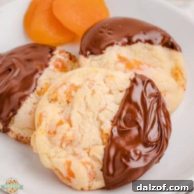 easy apricot cookies with chocolate