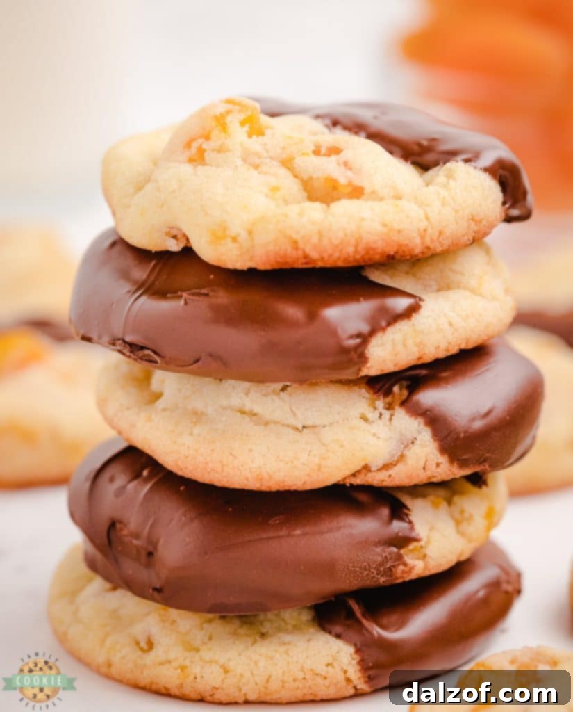 stacked apricot cookies