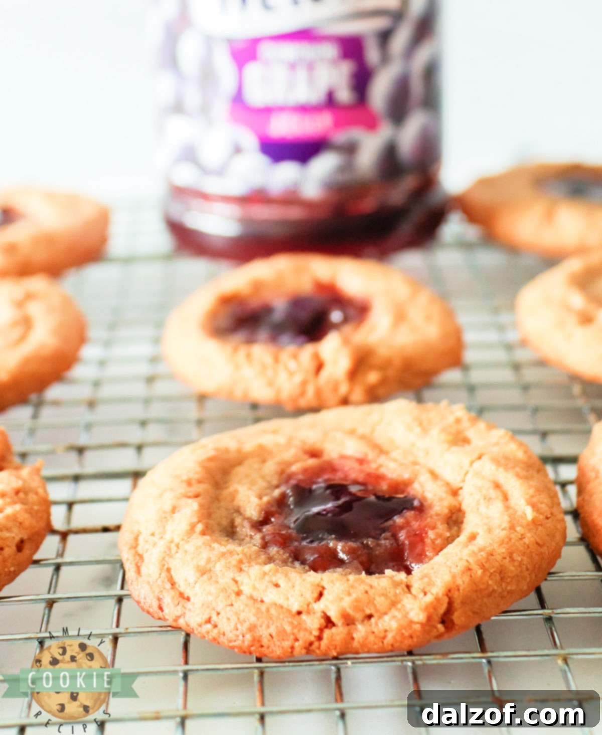 A close-up shot of a single Peanut Butter and Jelly cookie with grape jelly, showcasing its chewy texture and inviting appearance.