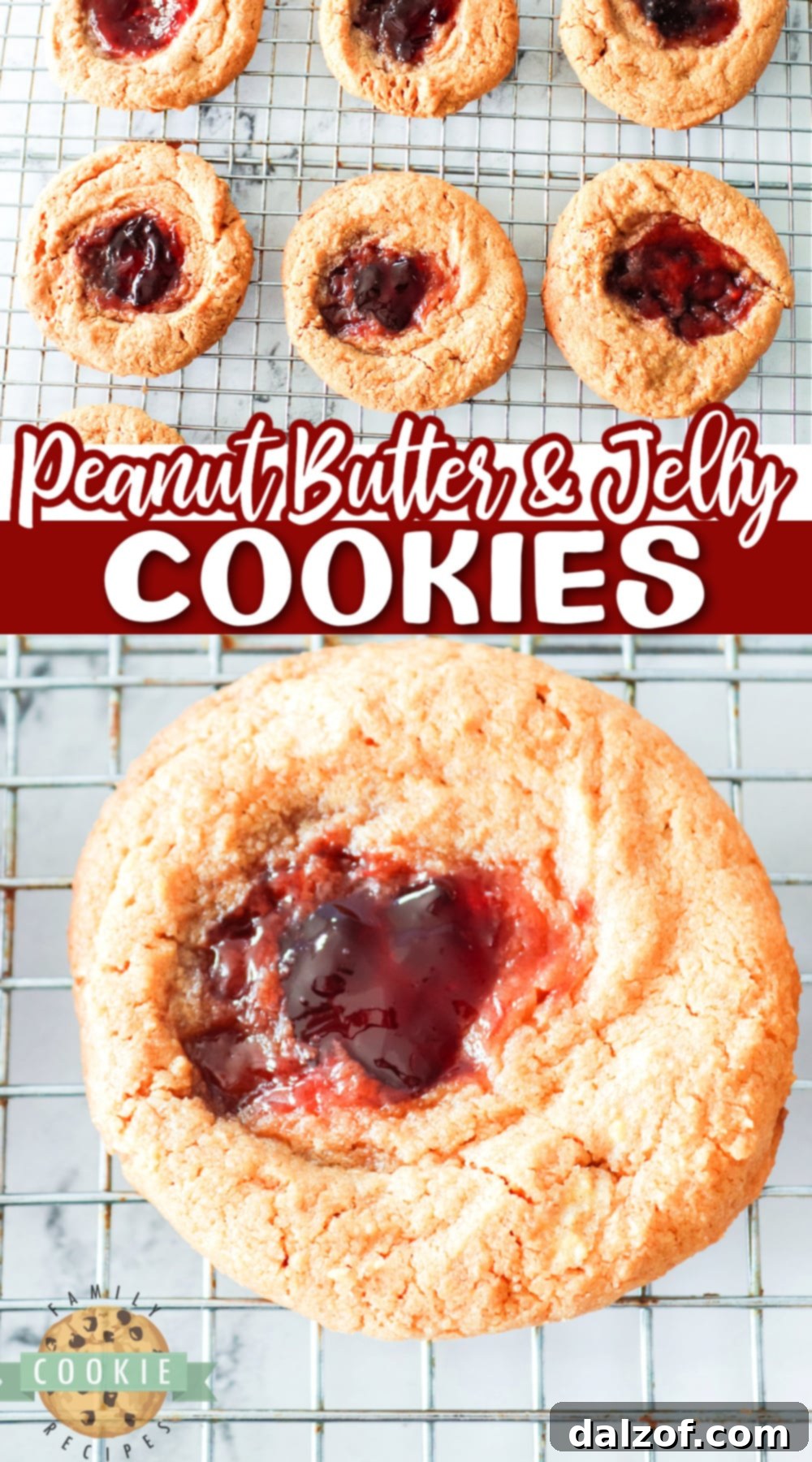 A final close-up shot of Peanut Butter and Jelly Cookies on a white plate, ready to be served, emphasizing their inviting appearance.