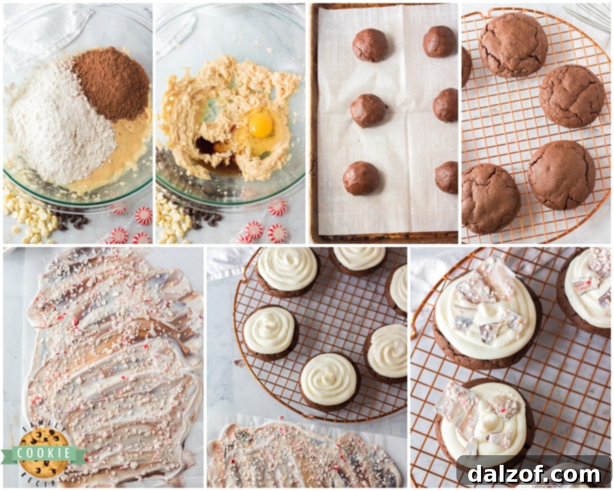Step-by-step guide on how to make peppermint bark chocolate cookies.