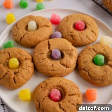 gumdrop gingerbread cookies