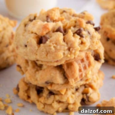 stack of Drumstick chocolate chip cookies