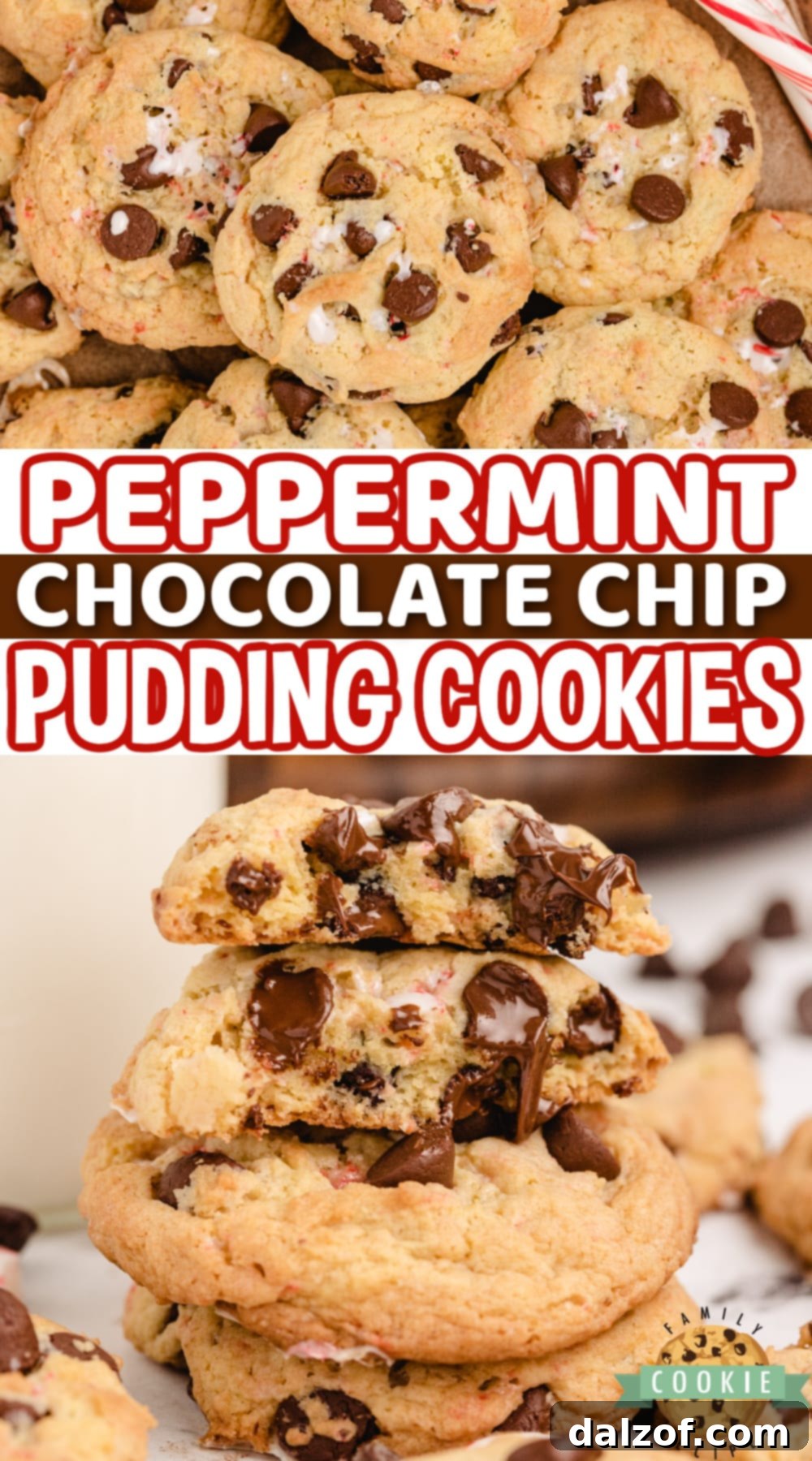Peppermint Chocolate Chip Cookies made with vanilla pudding mix, crushed candy canes and peppermint extract. Soft and chewy cookies that are perfect for the holidays!