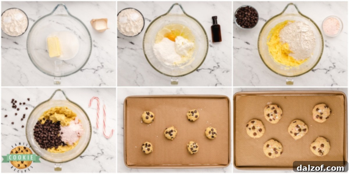 Step by step instructions on how to make Peppermint Chocolate Chip Cookies