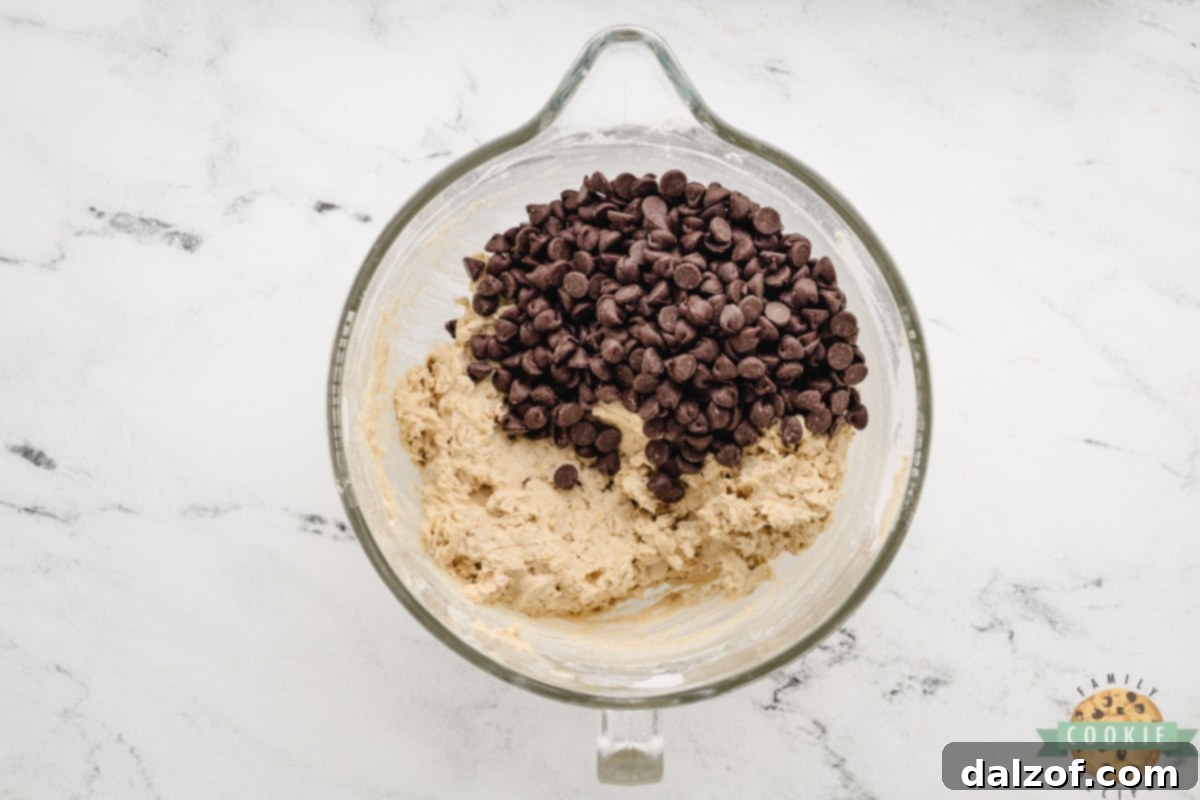 Stirring chocolate chips into oatmeal cookie dough.