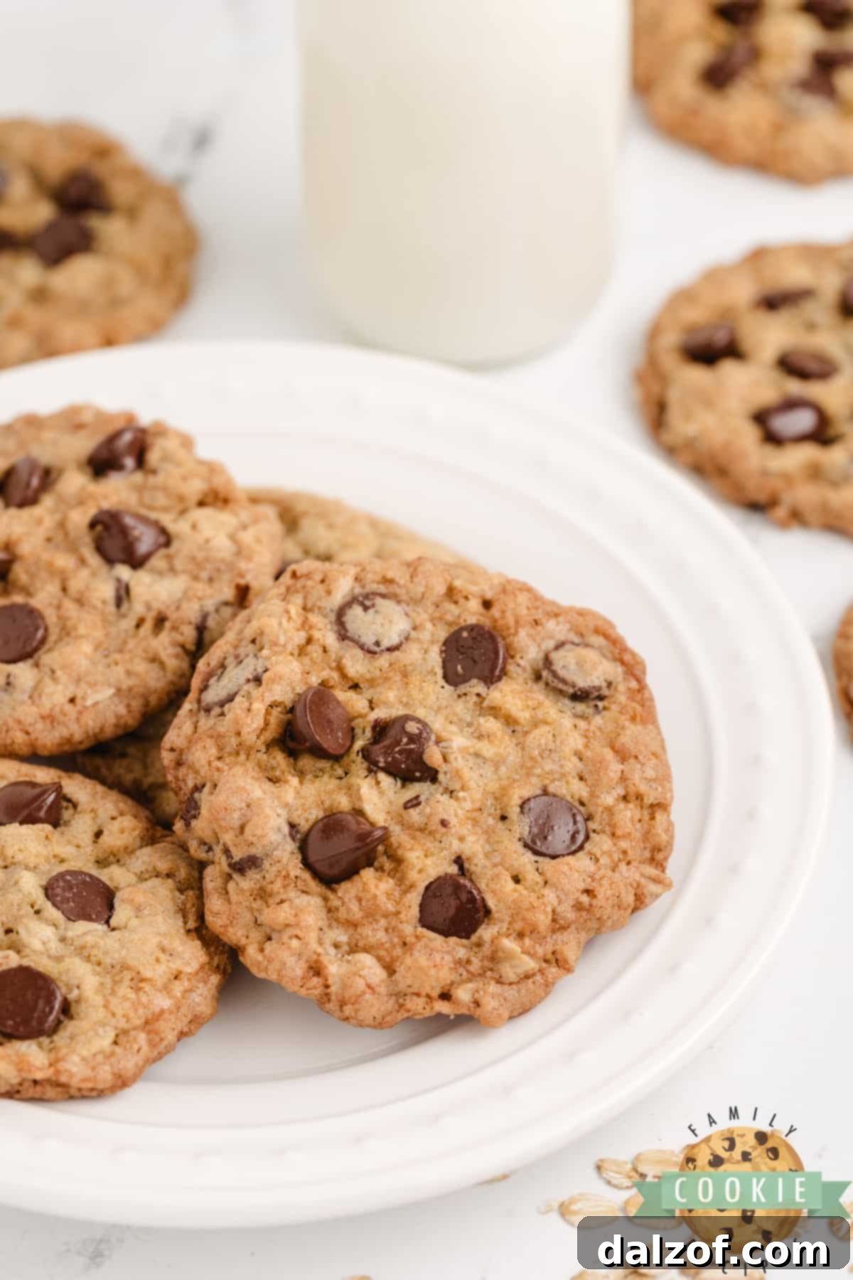 A plate of freshly baked homemade Oatmeal Chocolate Chip Cookies.
