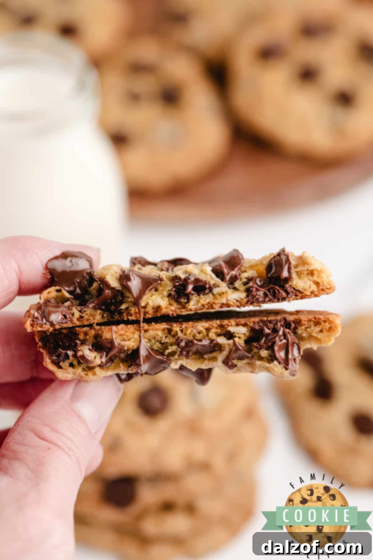A perfectly chewy Oatmeal Chocolate Chip Cookie, broken in half to show its soft interior and melted chocolate chips.