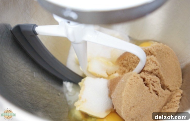 Close-up of oatmeal cookie dough being mixed in a bowl, showing the texture and chocolate chips ready for baking.