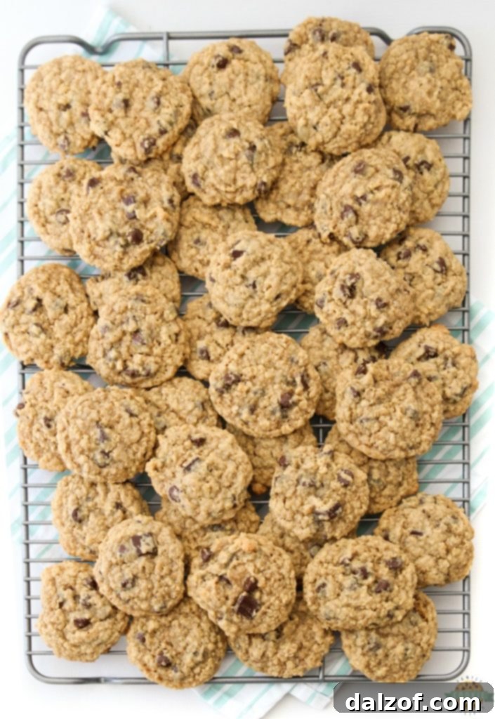 A close-up of a single Chocolate Chip Oatmeal Cookie, highlighting its rich texture, melted chocolate, and golden oats.