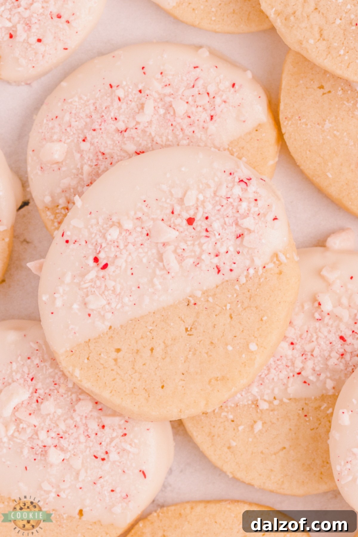 white chocolate dipped shortbread