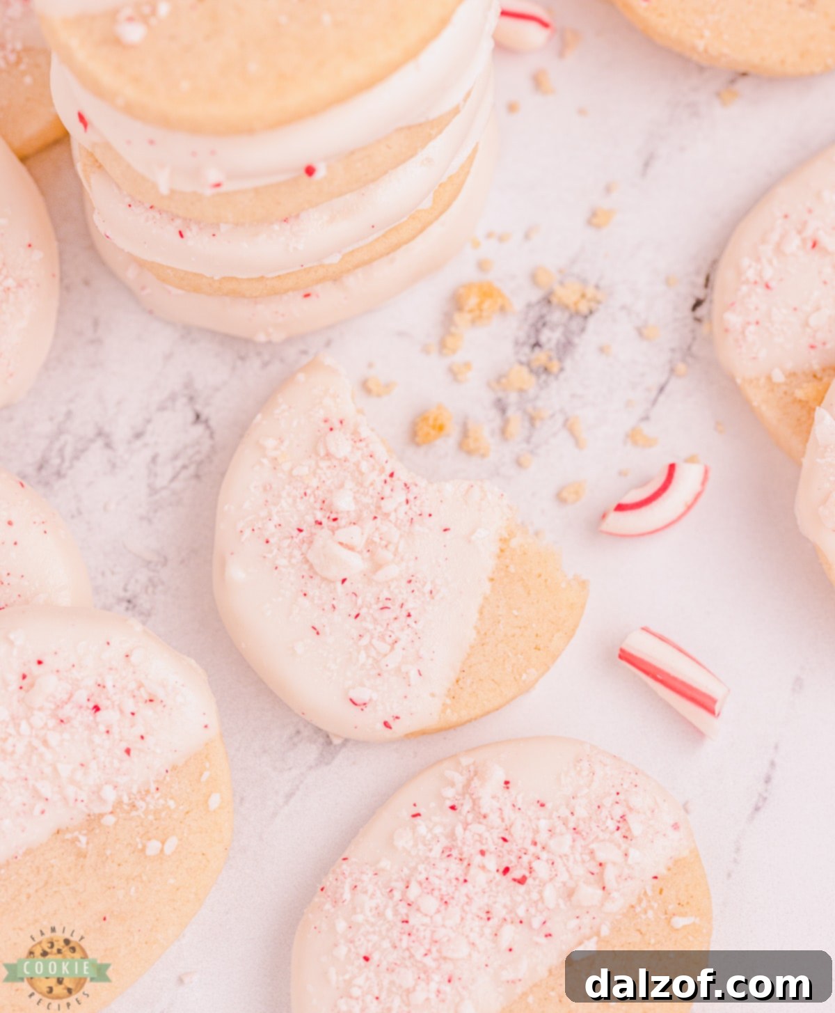 bite out of peppermint shortbread
