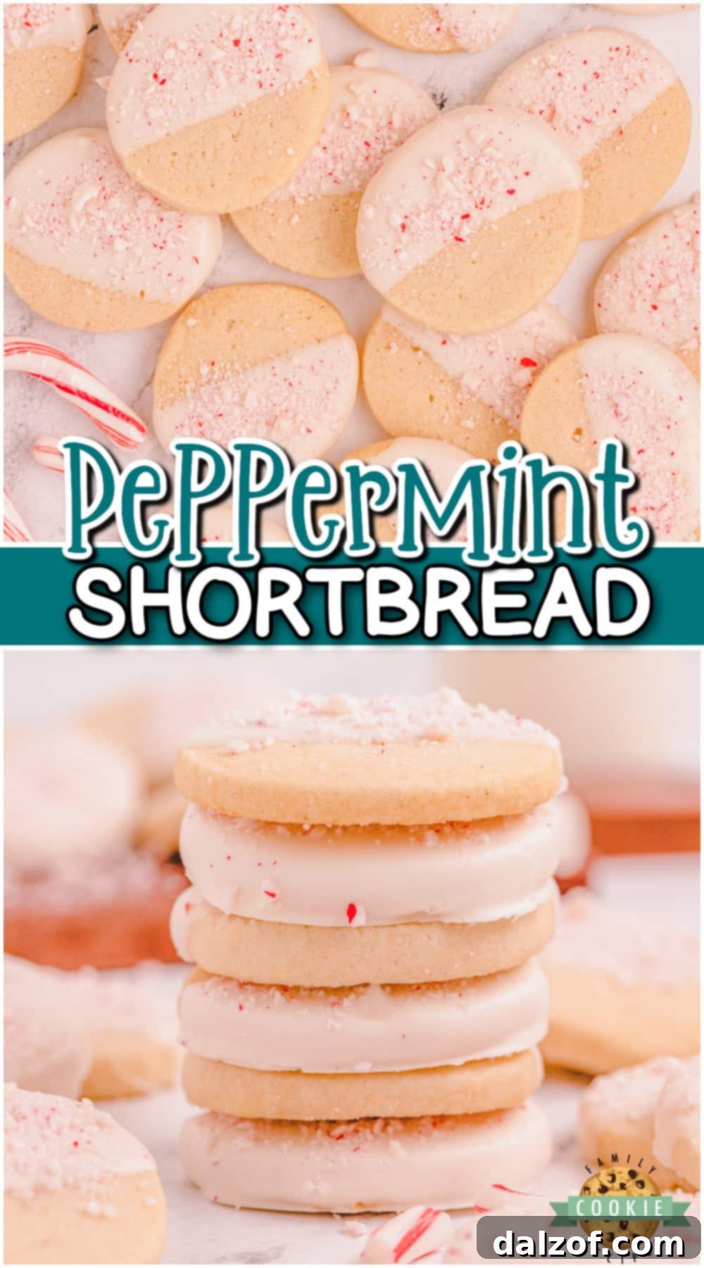 Peppermint shortbread cookies are festive buttery cookies topped with white chocolate & candy cane pieces! Shortbread cookies perfect for Christmas!