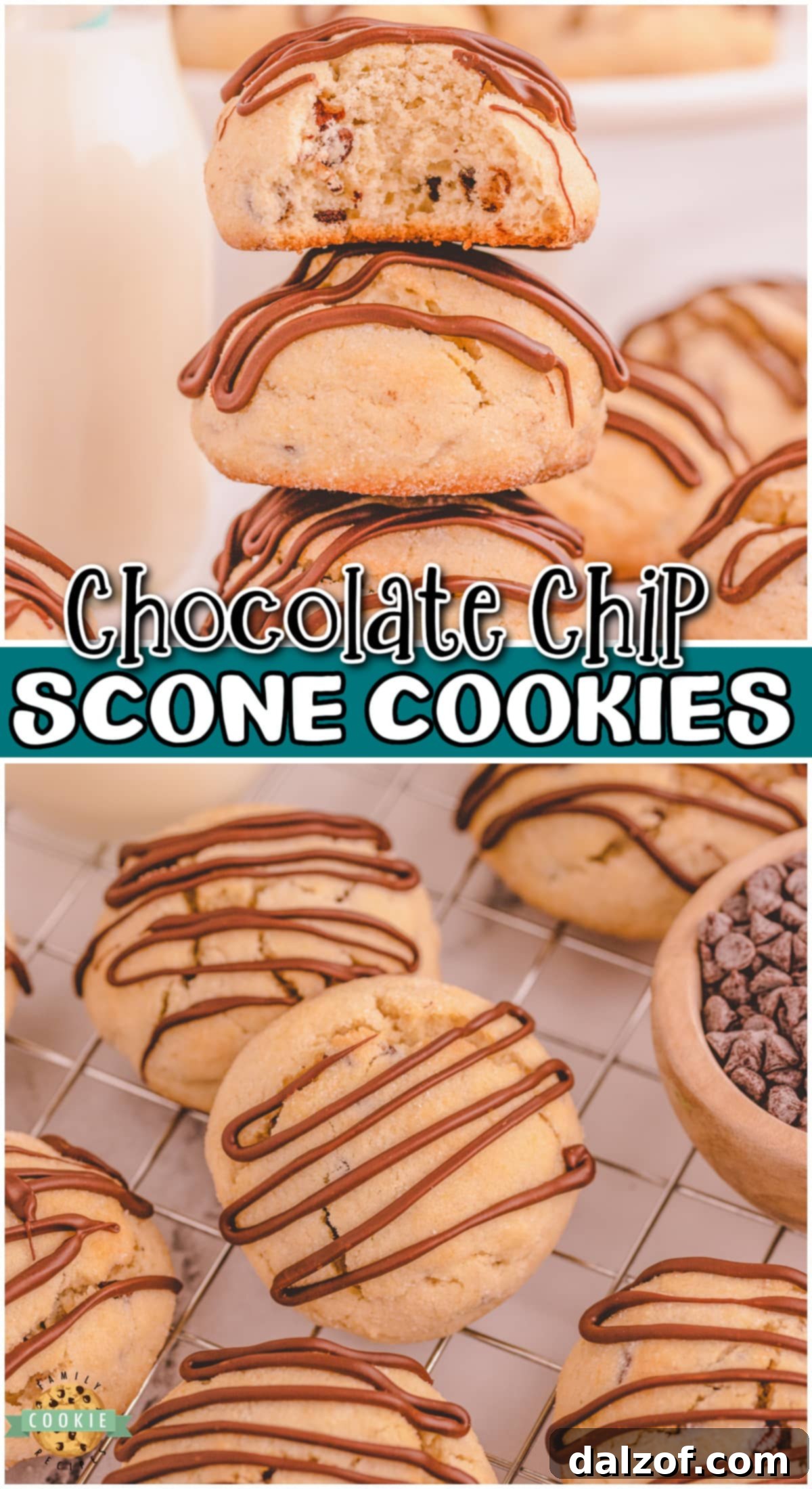 Chocolate Chip Scookies are cookies meets scones in a wonderful blend of soft dough and sweet chocolate drizzle! Tender, buttery scone-like cookies loaded with chocolate chips!