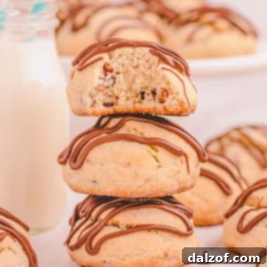 chocolate chip scone cookies