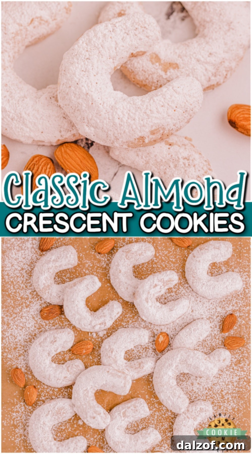 Almond cinnamon crescent cookies are classic buttery shortbread cookies shaped into crescents & rolled in powdered sugar. Perfect cookies beside a cup of tea in cold winter weather!