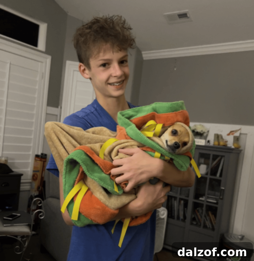 A picture of a dog named Penny in a taco blanket